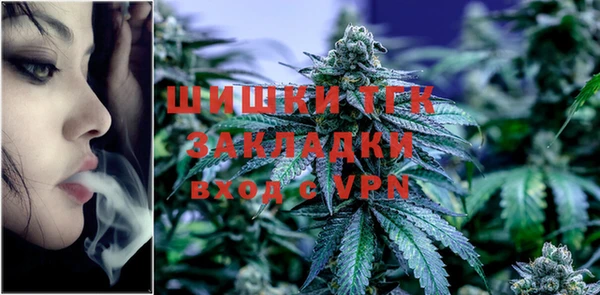 стаф Апатиты