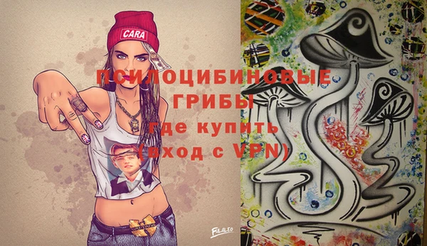 спиды Надым