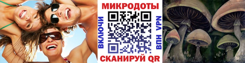 Псилоцибиновые грибы Cubensis  Янаул 