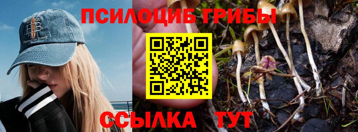 Галлюциногенные грибы Psilocybine cubensis Янаул